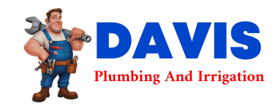 Trusted plumber in DRUMS